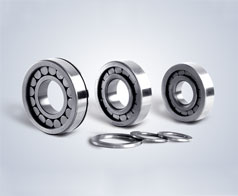 圓柱滾(gun)子軸承--鷹(ying)牌軸承