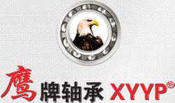 华浩芯片制造股份有限公司